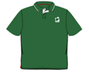 Green Short Polo Shirt(Unisex)绿色短袖Polo衫（男女同款）K1-Y3